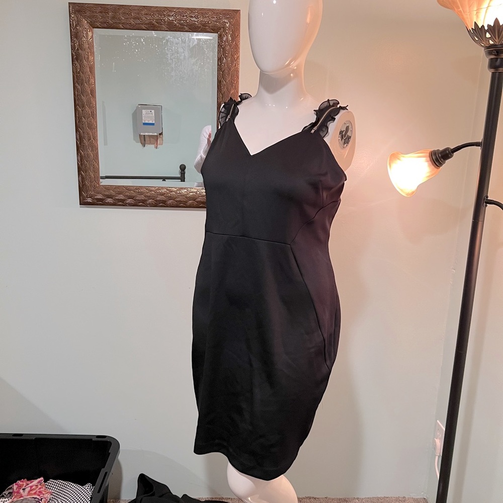 Flirty NWT Lane Bryant dress